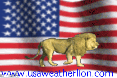 logousawxlionflag.gif